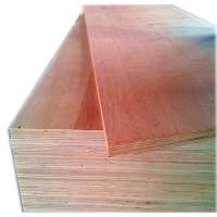 keruing or apitong faced 28mm container plywood for container repairing usage