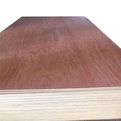 3.6 3.8 4mm red bintangor ordinary plywood for furnture/construction Marine plywood for Philippines market BBBB grade