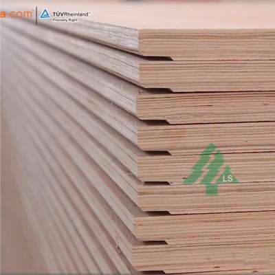 21Ply  Plywood Floorboard Marine Shipping Container Plywood Flooring