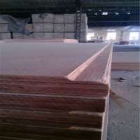 28mm Keruing , birch container plywood