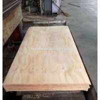 4x8 12mm furniture grade cdx radiate pine plywood