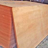 28mm Plywood with waterproof Glue Hardwood core Keruing face used for ISO Container flooring